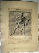 HYGINUS HENIOCHUS Orion Astronomy Astrology Original ca1681 Engraving  - £71.88 GBP