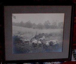 Nice VERY OLD Framed and Matted Photograph, VERY GOOD CONDITION - £23.79 GBP