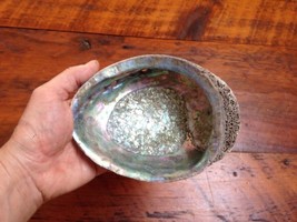Vtg Large ABALONE Paua Natural Mother Pearl Clam Shell Jewelry Trinket Dish 6x5 - £126.40 GBP