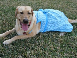 East Side Collection Blue Gingham Dog Dress XL - £7.18 GBP