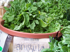 700 Seeds Arugula Roquette Salad Greens New Fast Shipping - $4.18