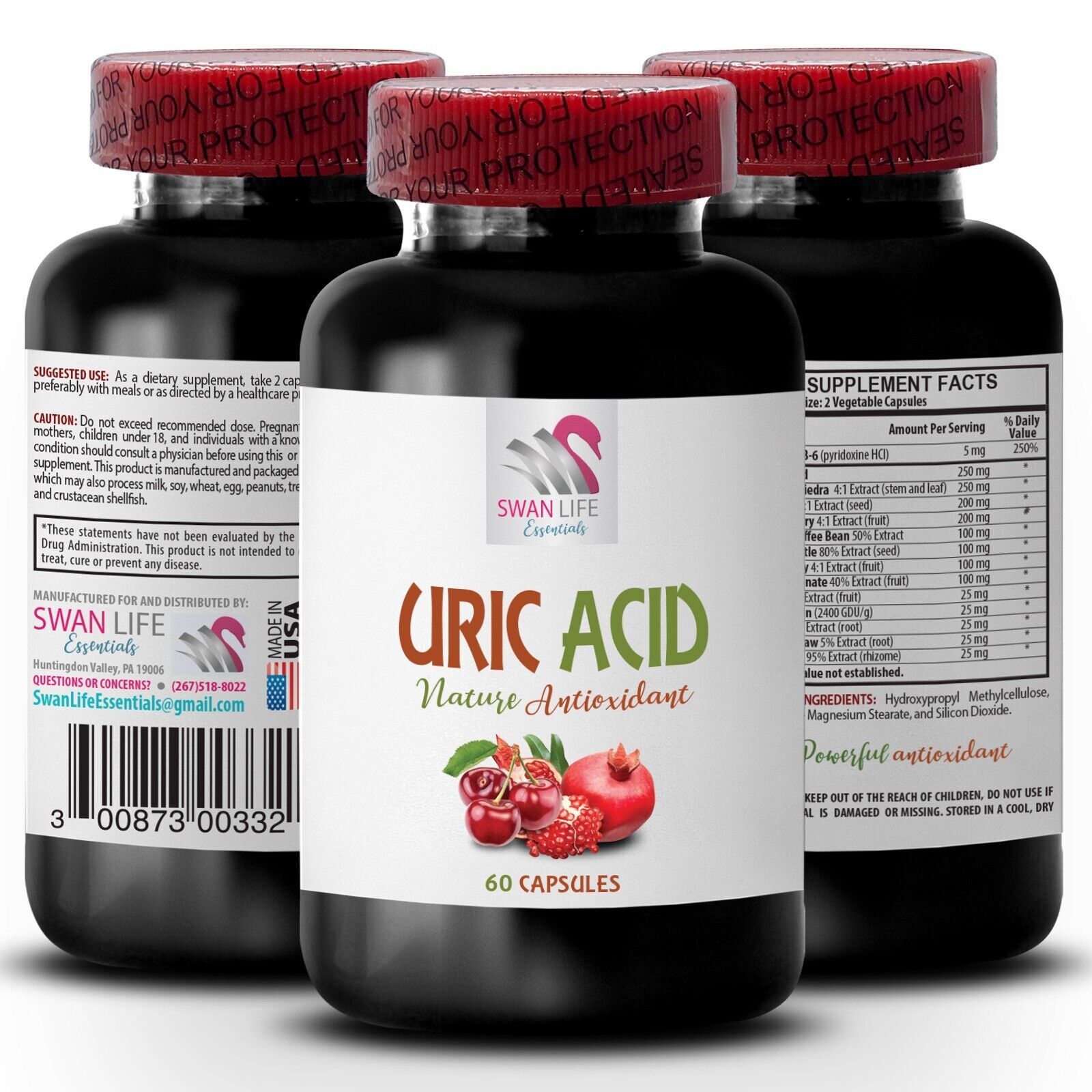 Wellness Boost - URIC ACID COMPLEX - Fruitful Nutrition 1 Bottle  - $17.96