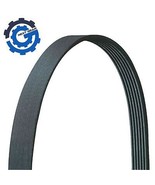 New DriveWorks Serpentine Belt for Autocar Bluebird Sterling Internation... - $1,392.50