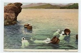 Pearl Divers Postcard Japan NYK Line  - $17.82