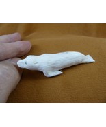 SEAL-w18) little white swimming Seal shed ANTLER figurine Bali detailed pup - $137.17 CAD