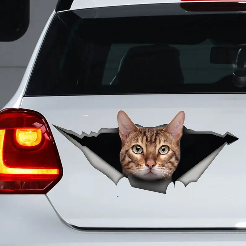 Cute Bengal Cat Car Stickers Funny Stickers Bengal Cat Car Stickers Car Body Sti - £60.10 GBP