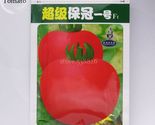 Super Baoguan No.1 F1 Big Pink Tomato Seeds 10 Grams - $23.99
