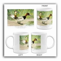 The Canvasback Duck (Aythya Vallisneria) - 1913 - Bird Illustration Mug - £19.17 GBP+