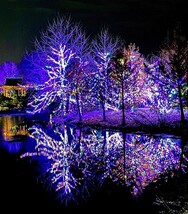 Digital Art Holiday Seasonal Christmas Fall Design - $1.25
