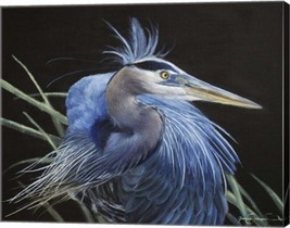 Blue Heron Gallery Wrapped Canvas by James Corwin Fine Art - £199.00 GBP+
