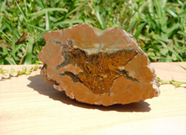 Thunderegg from Oregon 158g Energy Healing Meditation Display Roadrunner Spirit - £26.71 GBP