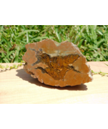 Thunderegg from Oregon 158g Energy Healing Meditation Display Roadrunner... - $46.64 CAD