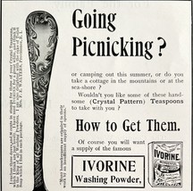 Ivorine Powder 1894 Advertisement Victorian Soap Laundry Picnicking ADBN1qq - $19.99