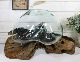 Bali Handicraft Natural Teak Driftwood With Large Decorative Molten Glass Bowl - £165.12 GBP