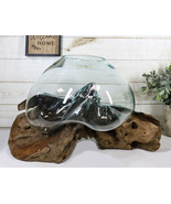 Bali Handicraft Natural Teak Driftwood With Large Decorative Molten Glas... - £167.36 GBP