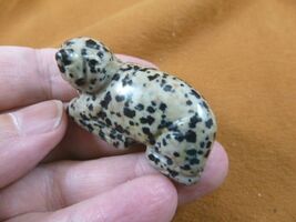 (Y-SEAL-563) spotted Jasper SEAL gemstone carving FIGURINE gem seals sea... - $15.79