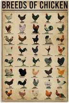 Eeypy Breeds of Chickens Poster Wall Art Home Decor Vintage Metal Tin Signs Coff - £12.08 GBP
