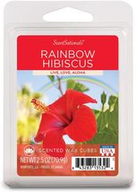 Scentsationals Scented Wax Cubes - Rainbow Hibiscus - £5.91 GBP