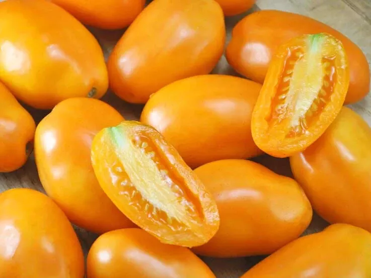 50 Seeds Orange Banana Tomato Tomatoe Garden Canning - $5.69