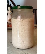 sourdough starter dried pulverized yeast from ALASKA     A - €6,58 EUR