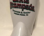 Christmas At Dolly Parton’s Dixie Stampede Souvenir Boot Cup Pigeon Forg... - £6.30 GBP