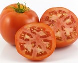 Burrell&#39;S Special Tomatoclassic Slicer Sized Tomato 25 Seeds - £7.20 GBP
