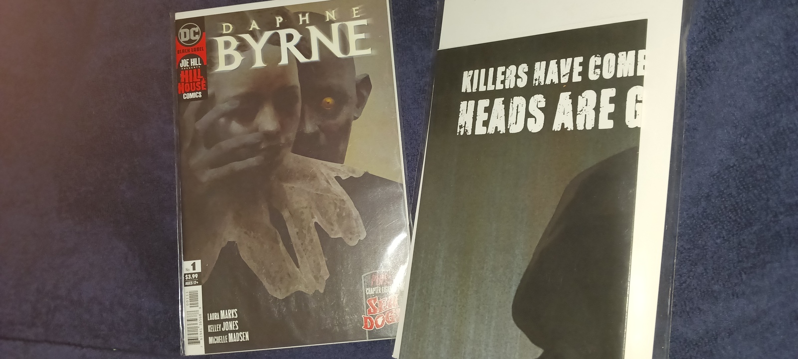 DC&#39;s DAPHNE BYRNE 2020 COVER A #1 /JOE HILL BASKET FULL OF HEADS POSTER ... - $12.99