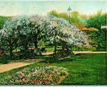 Public Garden Boston Massachusetts MA 1907 DB Postcard I5 - £2.29 GBP