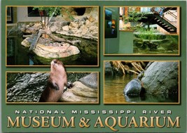 National Mississippi River Museum &amp; Aquarium Dubuque Iowa Postcard PC514 - £3.84 GBP