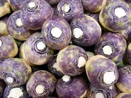 USA American Purple Top Rutabaga Brassica Napus Root &amp; Greens 1500 Seeds - £8.63 GBP