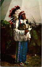 Vtg Postcard, Native American Indian Chief - £5.04 GBP