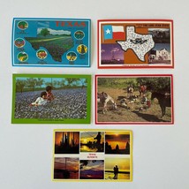 Lot x5 Texas Postcards Lone Star State Land of Contrasts Bluebonnets Cow... - £15.49 GBP