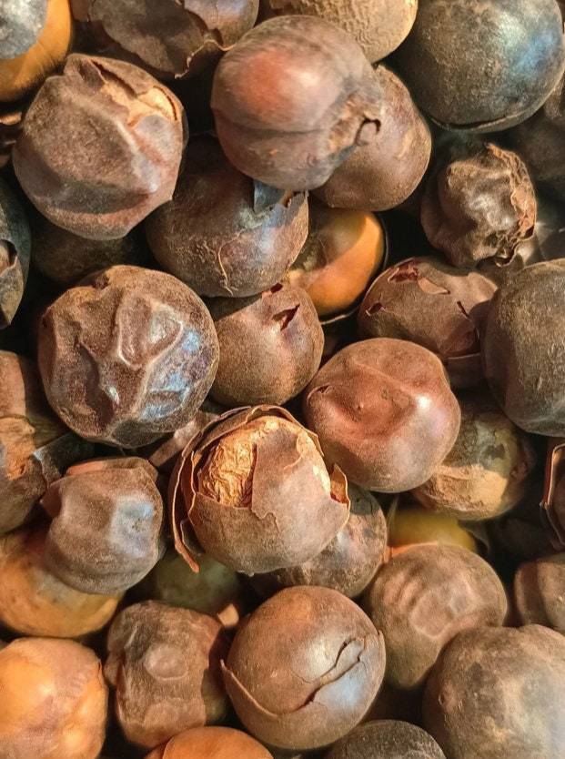 Country onion, Afrostyrax lepidophyllus, 50g/10 USD, shipping is 10 USD, phyto c Item image 5