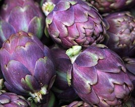 10 Violet Star Globe Artichoke Seeds Tasty Fresh Seeds - $15.90