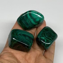 172.5g, 1.3&quot;-1.7&quot;, 3pcs, Natural Small Malachite Tumbled Polished, B32835 - £55.25 GBP