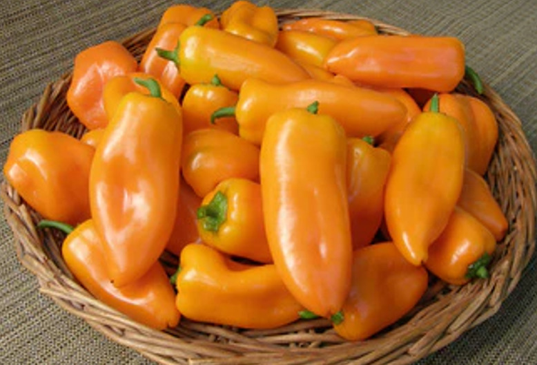 SKMO Pepper Baby Belle Snacking Pepper Vegetable Seed Specialty Seeds  - $1.19