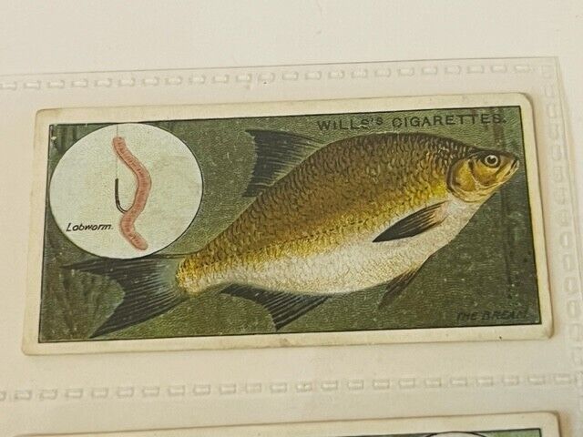 Primary image for WD HO Wills Cigarettes Tobacco Trading Card 1910 Fish Bait Lure Common Bream #10