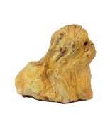 Red Brown 5oz 3 inch Petrified Wood Specimen Glazed W Felt Bottom - £17.34 GBP