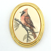 BARLOW vtg cardinal brooch - oval gold-tone scrimshaw-look red bird fine detail - £18.38 GBP