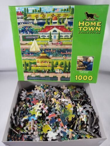 Hometown Collection Sunday in the Park Jigsaw Puzzle Mega Missing 1 Piece - $8.58