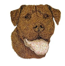 Amazing [American Pit Bull Terrier Dog Face] Embroidery Iron On/Sew Patch [4&quot; x  - £10.34 GBP