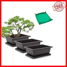 Traditional 3-Pack 11 Inch Bonsai Pots with Raised Trays for Indoor/Outd... - $817.60 MXN