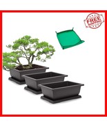 Traditional 3-Pack 11 Inch Bonsai Pots with Raised Trays for Indoor/Outd... - $60.59 CAD