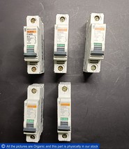 Merlin Gerin Multi 9 C60N B10 1-Pole Circuit Breaker 24050 Schneider Lot... - $74.40