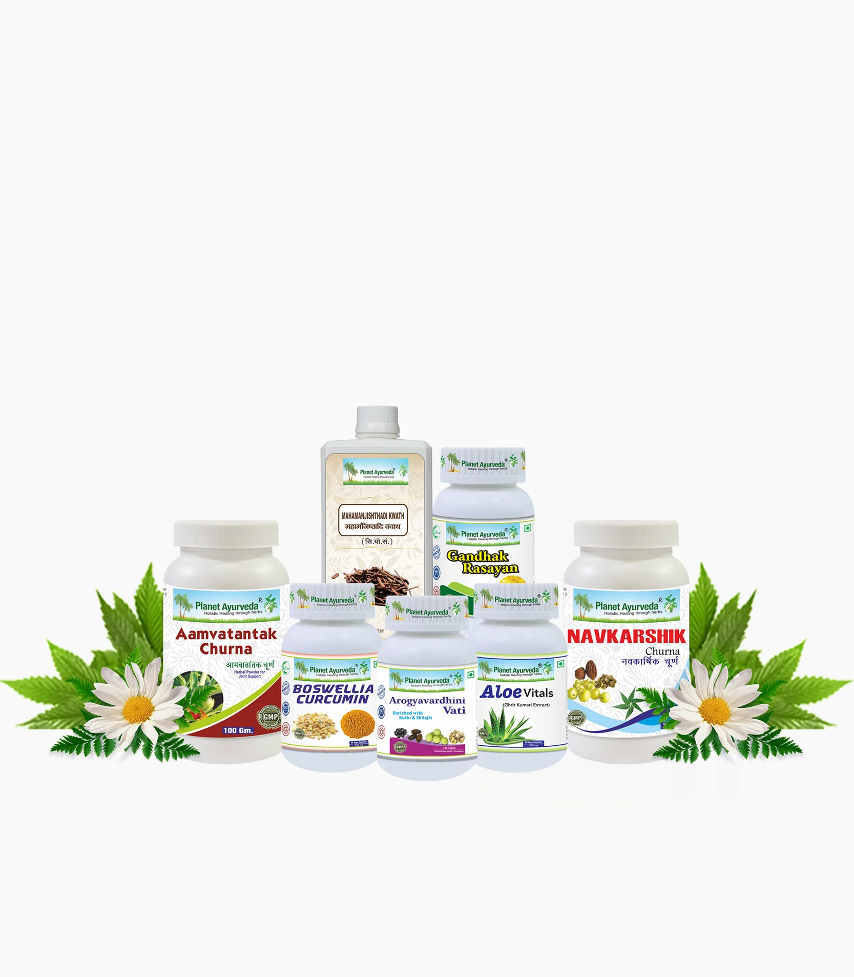 Planet Ayurveda Amyloidosis Care Pack with Free Shipping - $10,455.45 MXN
