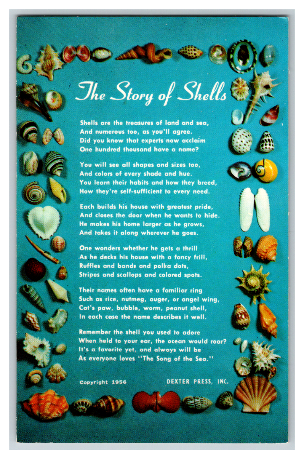 The Story of Shells Poem Postcard with Shells and Blue Background ...