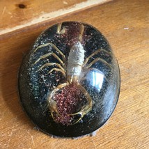 Vintage Handmade Preserved Scorpion in Clear Acrylic Oval Paperweight Sh... - $19.39