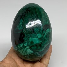 2.2 lbs, 4.1&quot;x2.9&quot;, Natural Solid Malachite Egg Polished Gemstone @Congo, B32760 - £633.08 GBP