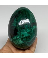 2.2 lbs, 4.1&quot;x2.9&quot;, Natural Solid Malachite Egg Polished Gemstone @Congo... - £622.78 GBP