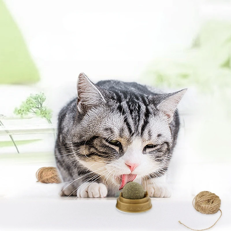 Sporting Natural Catnip Cat Wall Stick-on Ball Toy Treats Healthy Natural Remove - £23.90 GBP